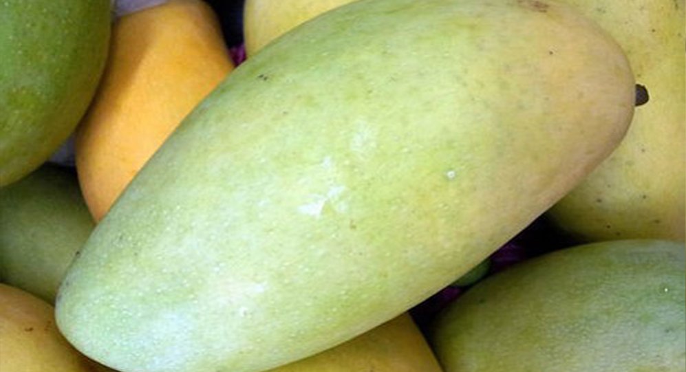 LANGRA MANGO