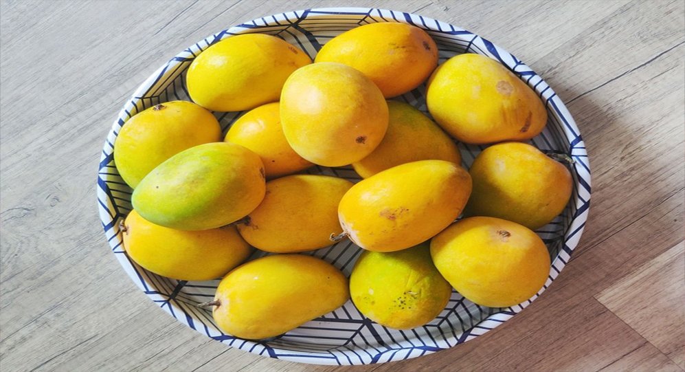 mangoes 1