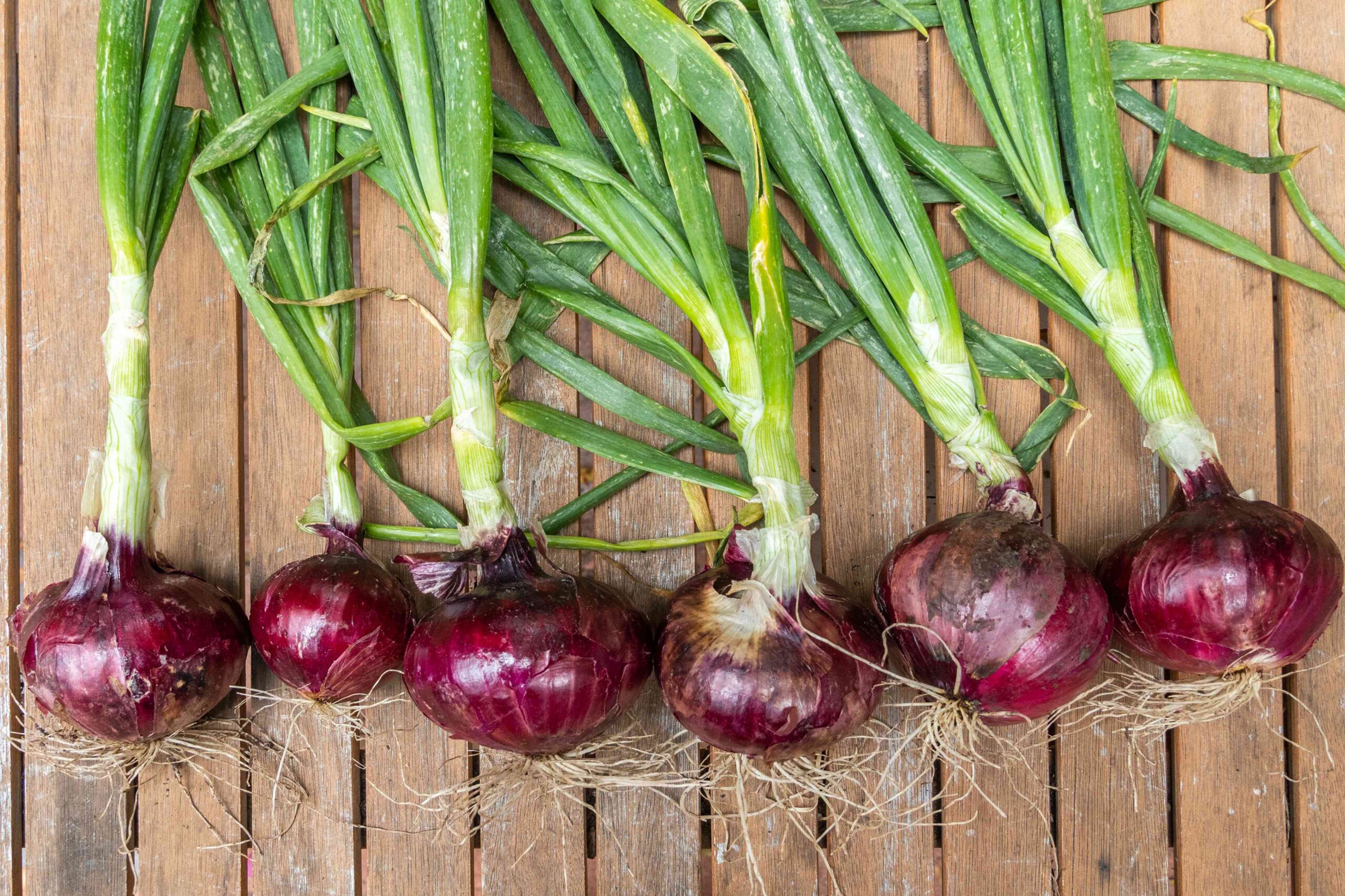 red onions 7110784 hero 79e37549208f4b21a95481bcb7725cb1 scaled